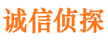 公主岭市调查公司